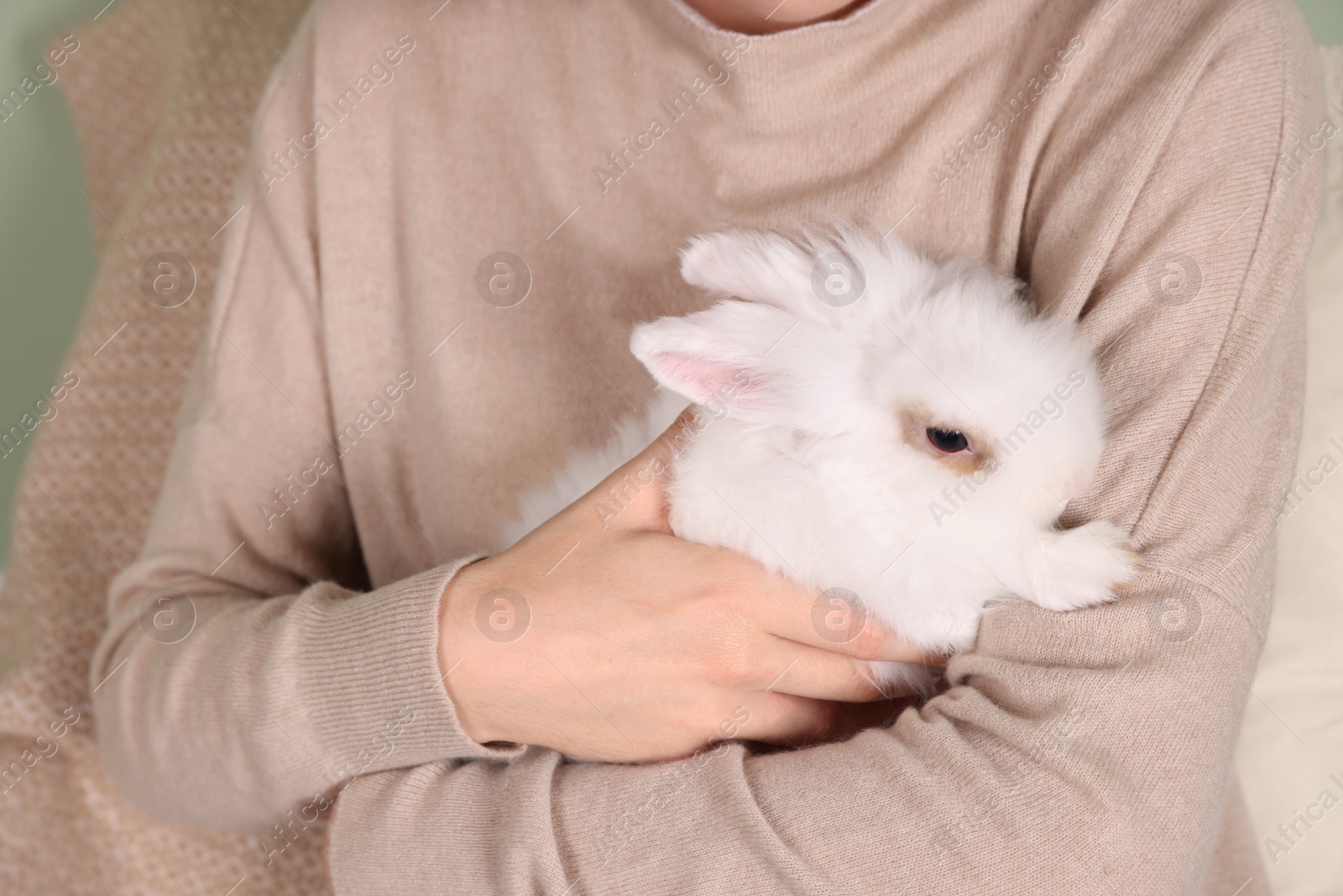 Photo of Woman with fluffy white rabbit, closeup. Cute pet