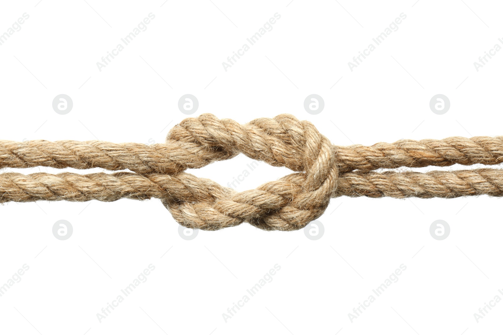 Photo of Hemp ropes with square knot on white background, closeup