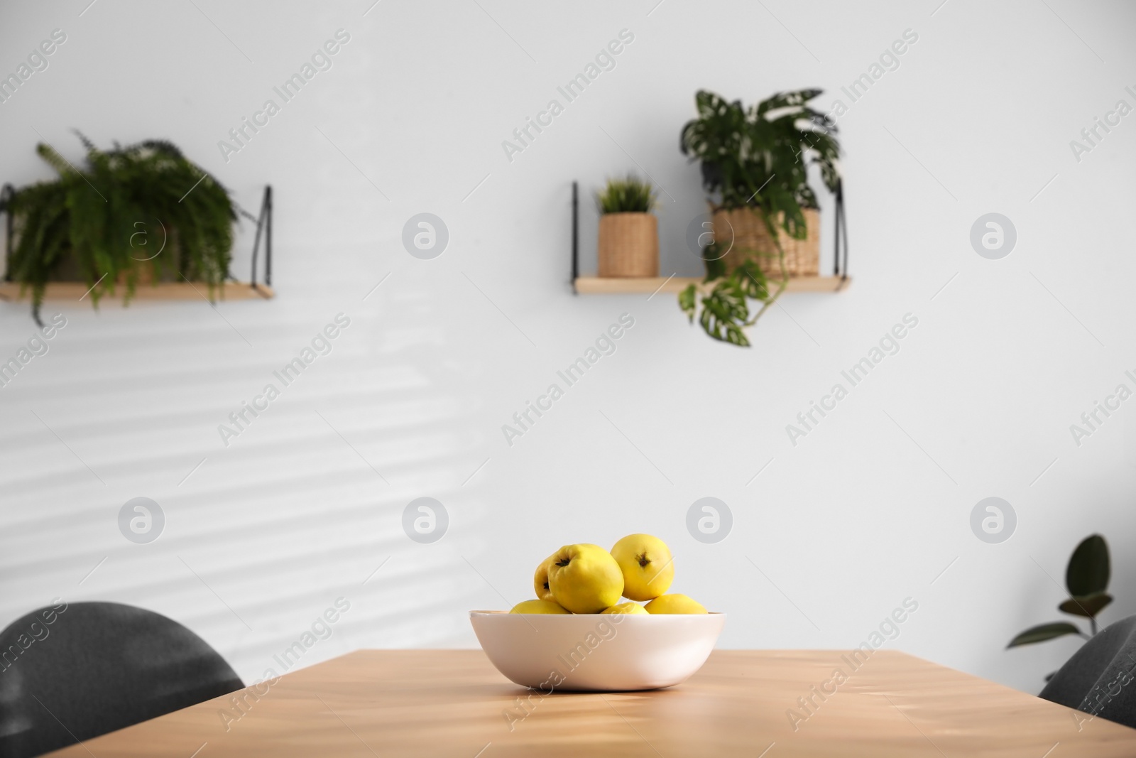 Photo of Ripe quinces on wooden table in room decorated with potted plants. Home design