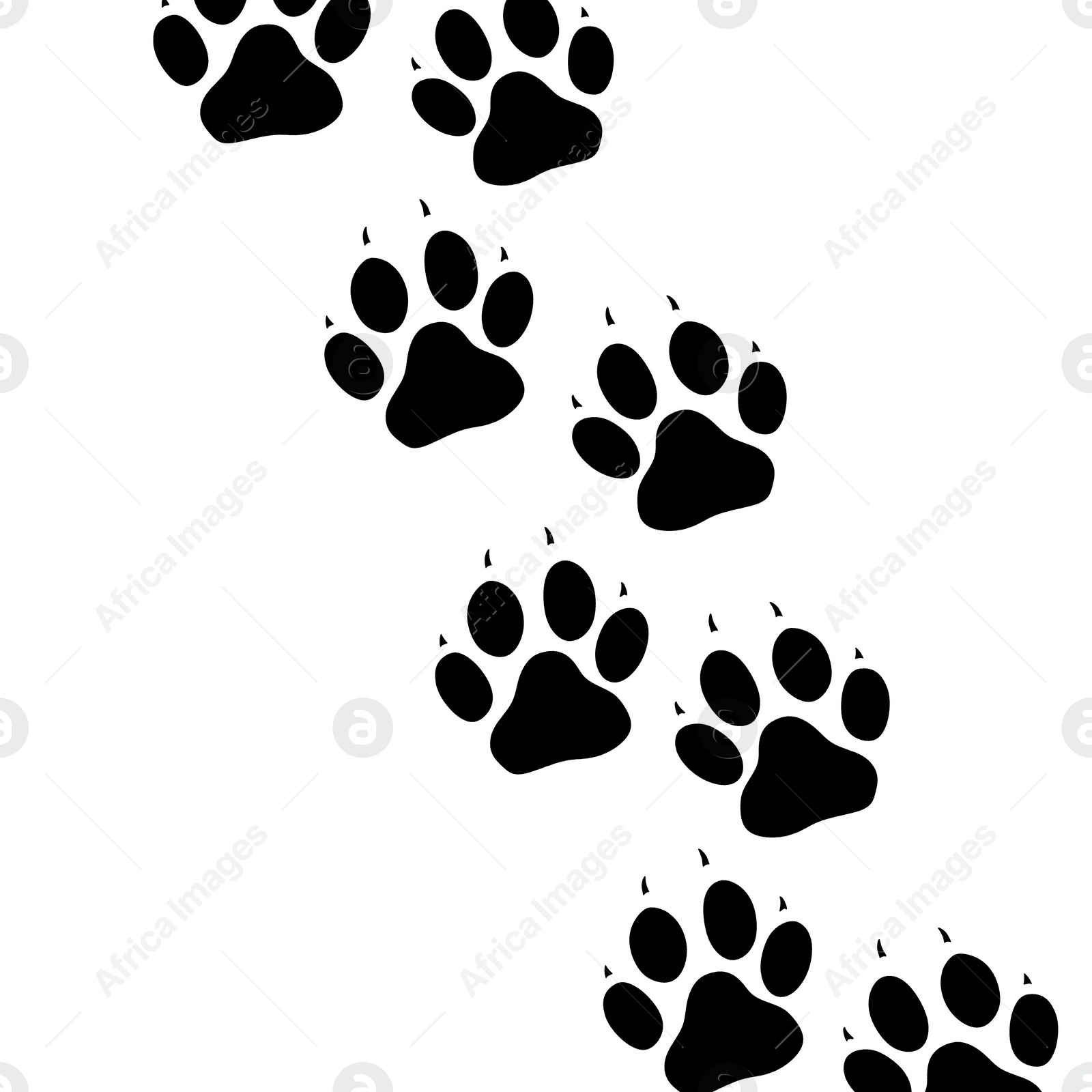 Image of Dog paw prints on white background, illustration