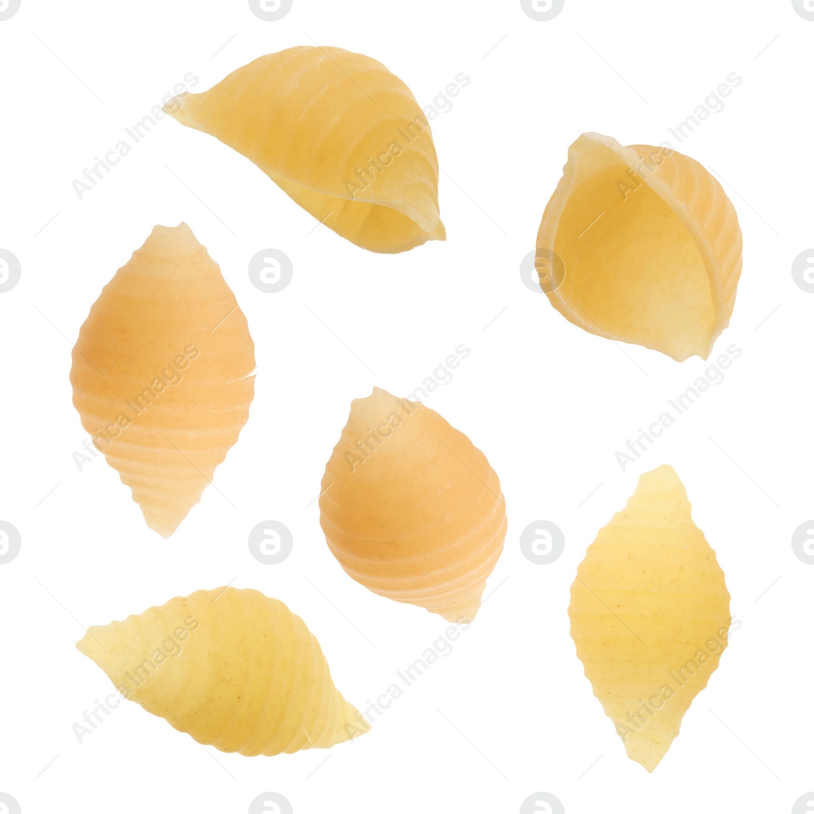 Image of Raw conchiglie pasta isolated on white, set