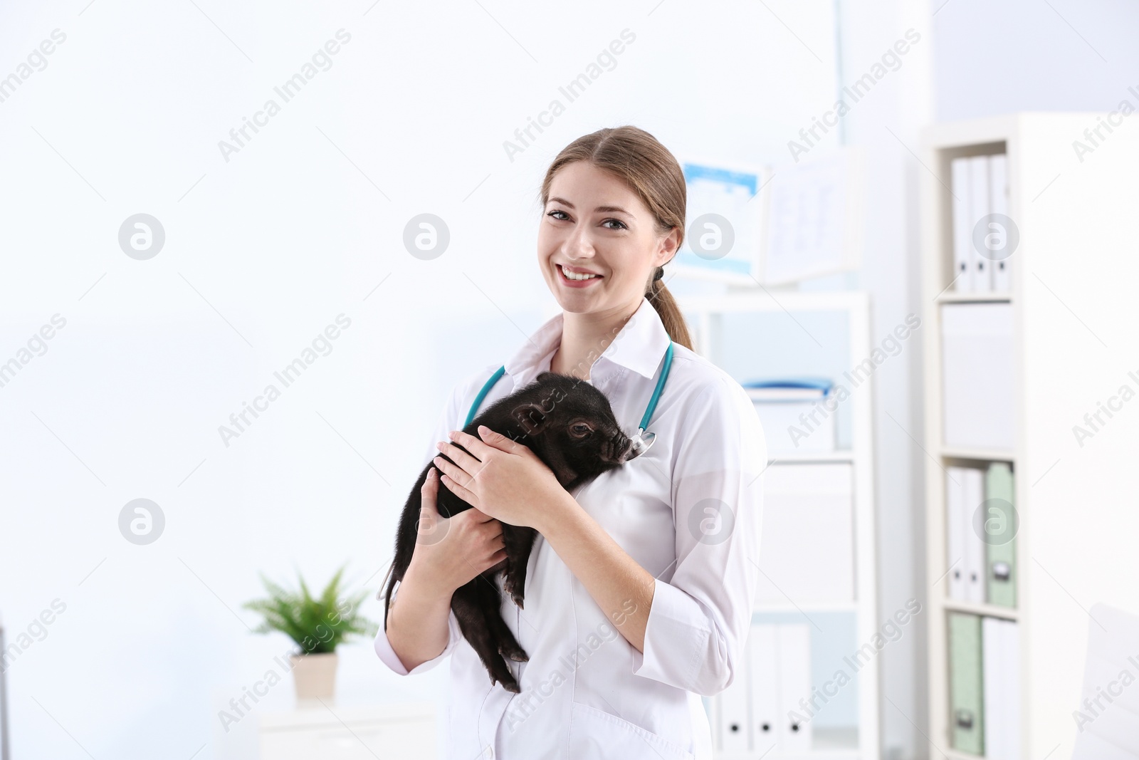 Photo of Female veterinarian with cute mini pig in hospital