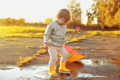 Little girl wearing rubber boots walking in puddle outdoors