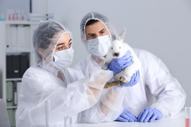 Scientists working with rabbit in chemical laboratory. Animal testing