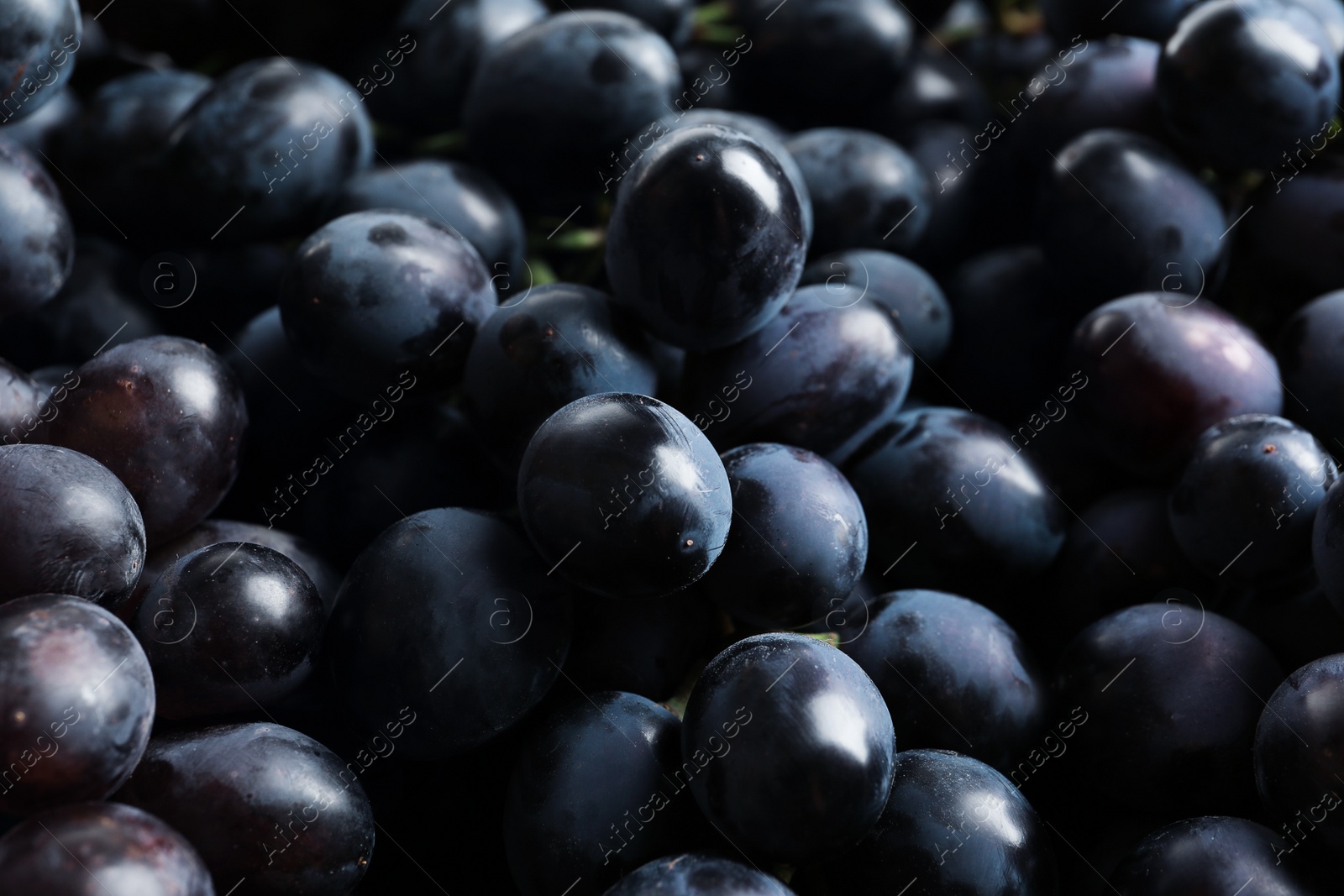 Photo of Bunch of fresh ripe juicy grapes as background. Closeup view