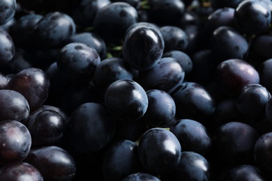 Bunch of fresh ripe juicy grapes as background. Closeup view