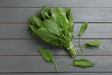 Fresh green sorrel leaves on grey wooden table, flat lay