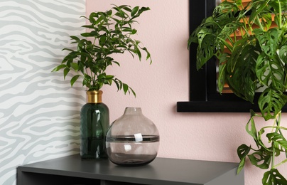 Photo of Stylish vases with green branches on table indoors