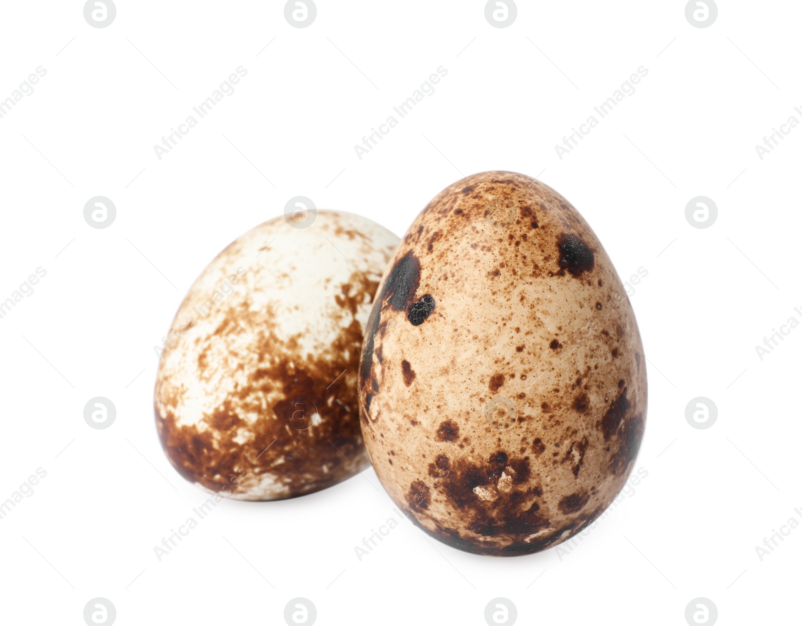 Photo of Beautiful speckled quail eggs on white background