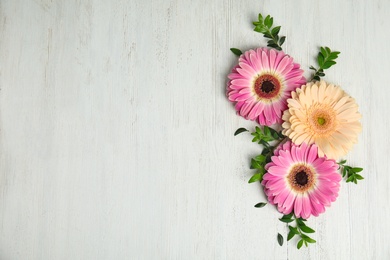 Flat lay composition with beautiful bright gerbera flowers on wooden background. Space for text