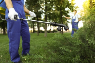 Photo of Worker spraying pesticide onto green bush outdoors, closeup. Pest control