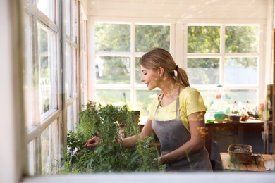 Photo of Young woman taking care of home plants in shop, view through window