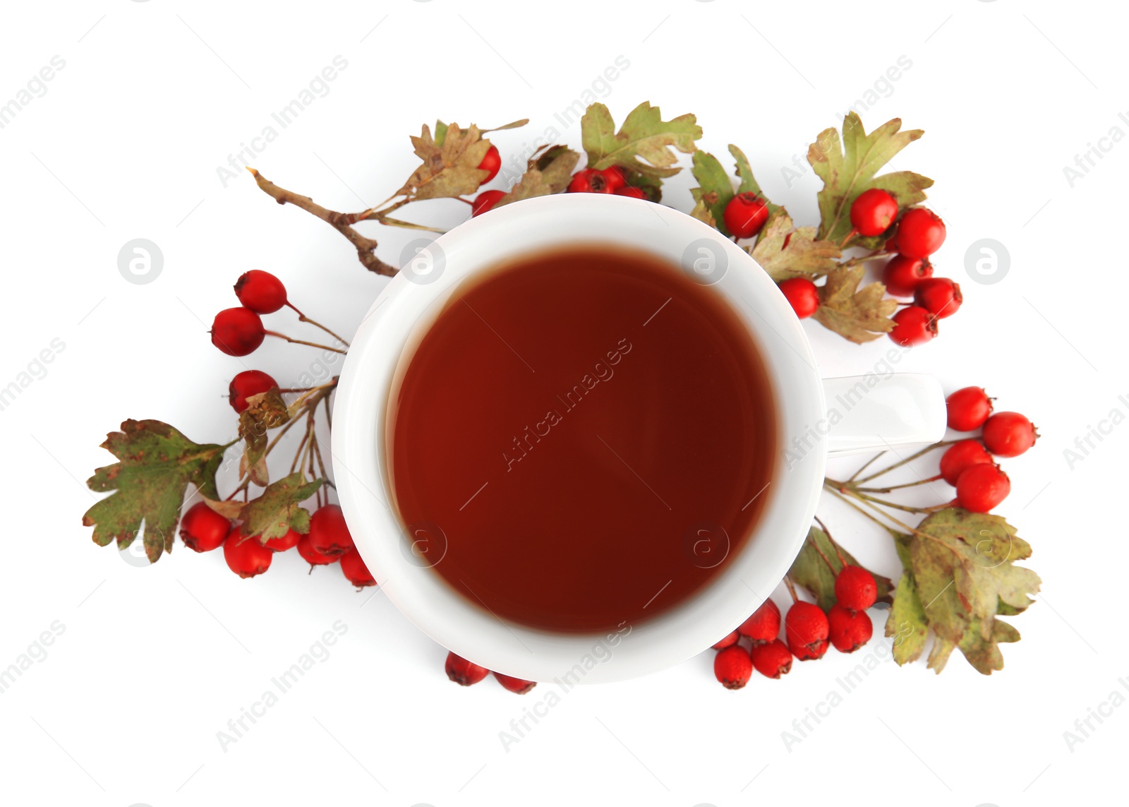 Photo of Aromatic hawthorn tea in cup and berries isolated on white, top view