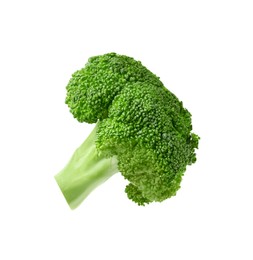 Photo of Fresh raw green broccoli isolated on white