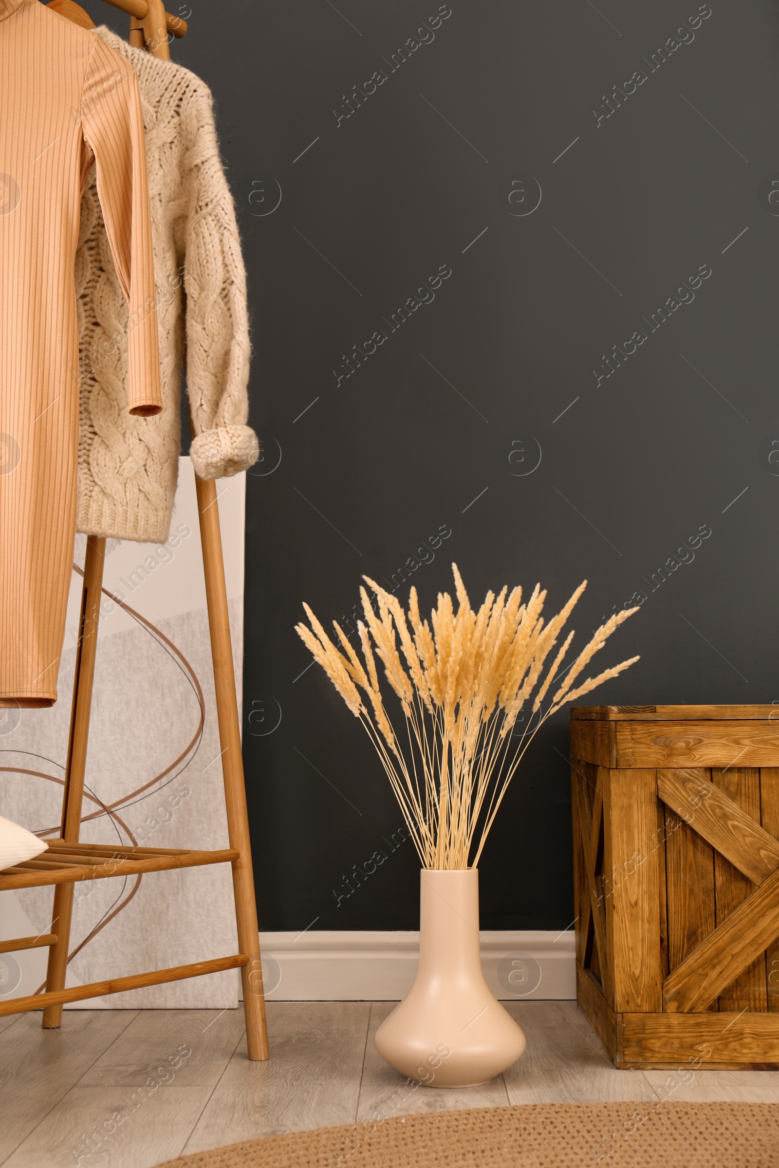 Photo of Dry plants near clothes rack indoors. Interior design