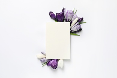 Beautiful spring crocus flowers and card on white background, top view. Space for text