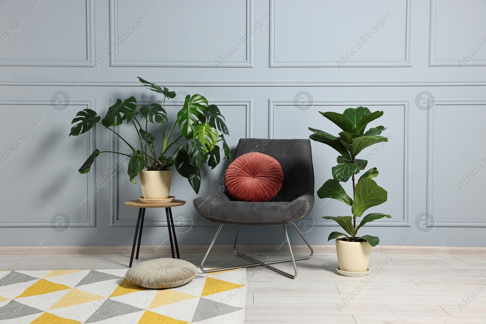 Photo of Comfortable armchair, pillows and green houseplants indoors