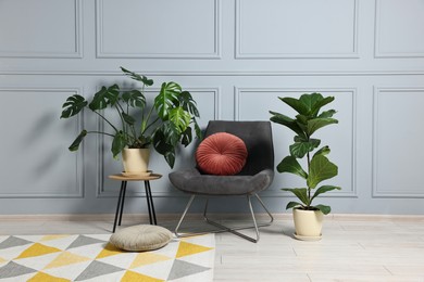 Photo of Comfortable armchair, pillows and green houseplants indoors