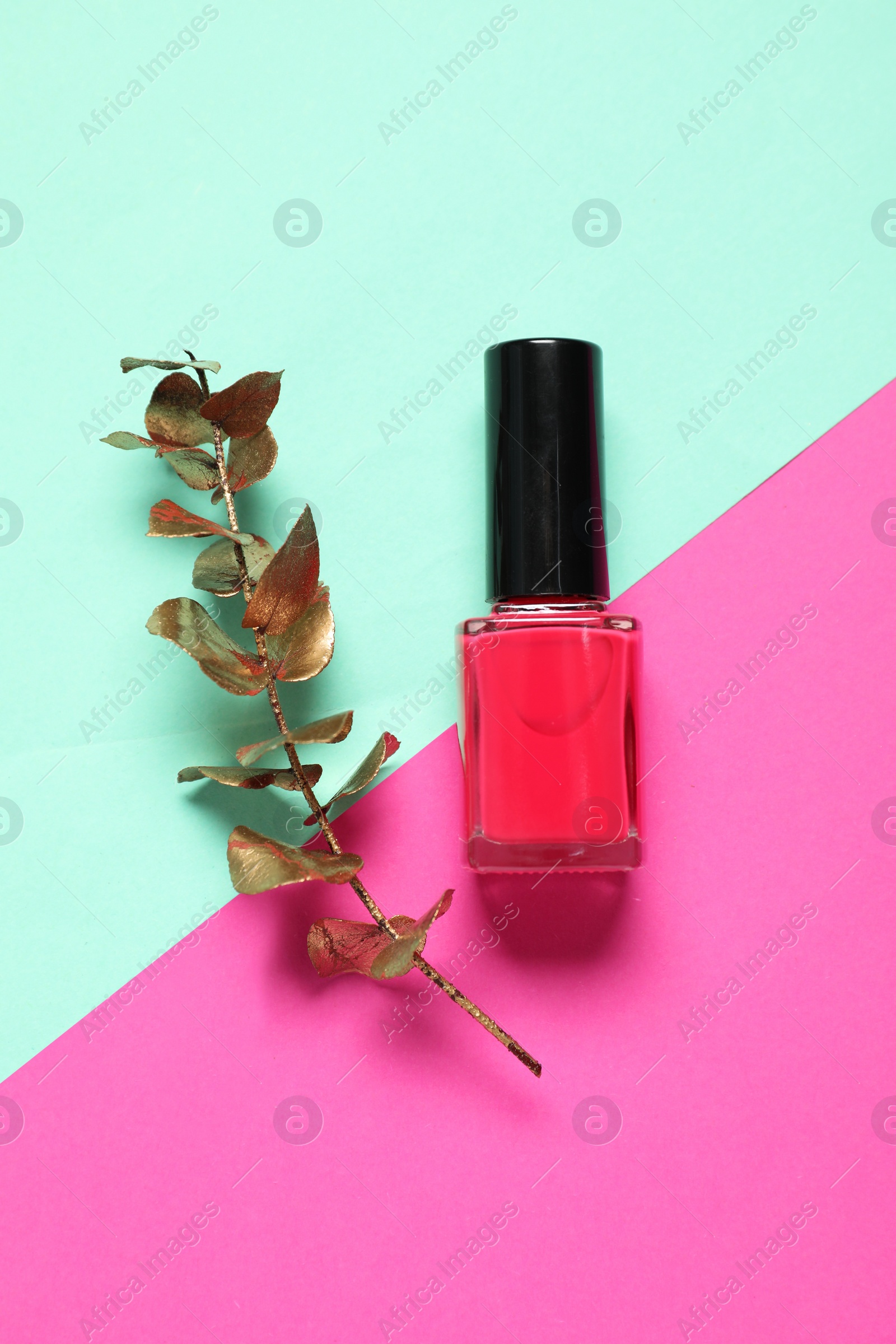 Photo of Nail polish and golden branch on color background, top view