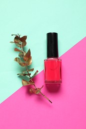 Nail polish and golden branch on color background, top view