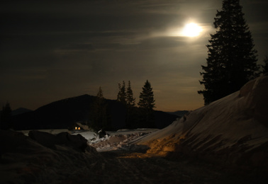 Photo of Beautiful view of snowy road at night