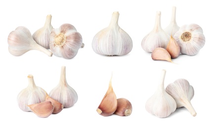 Image of Set of garlic bulbs and cloves on white background