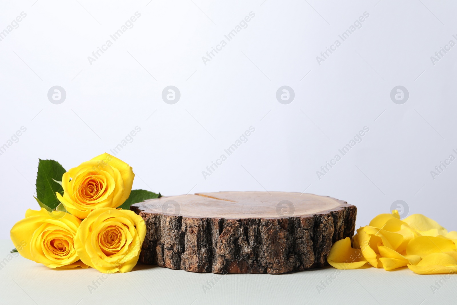 Photo of Beautiful presentation for product. Wooden stump and roses on white table, space for text