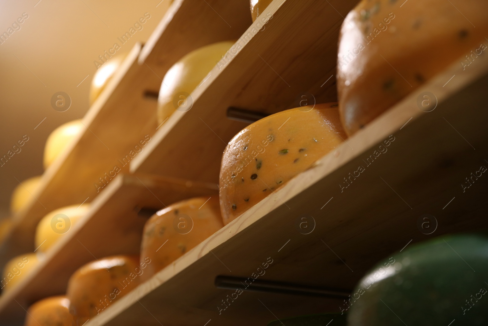 Photo of Fresh cheese heads on rack in factory warehouse, closeup