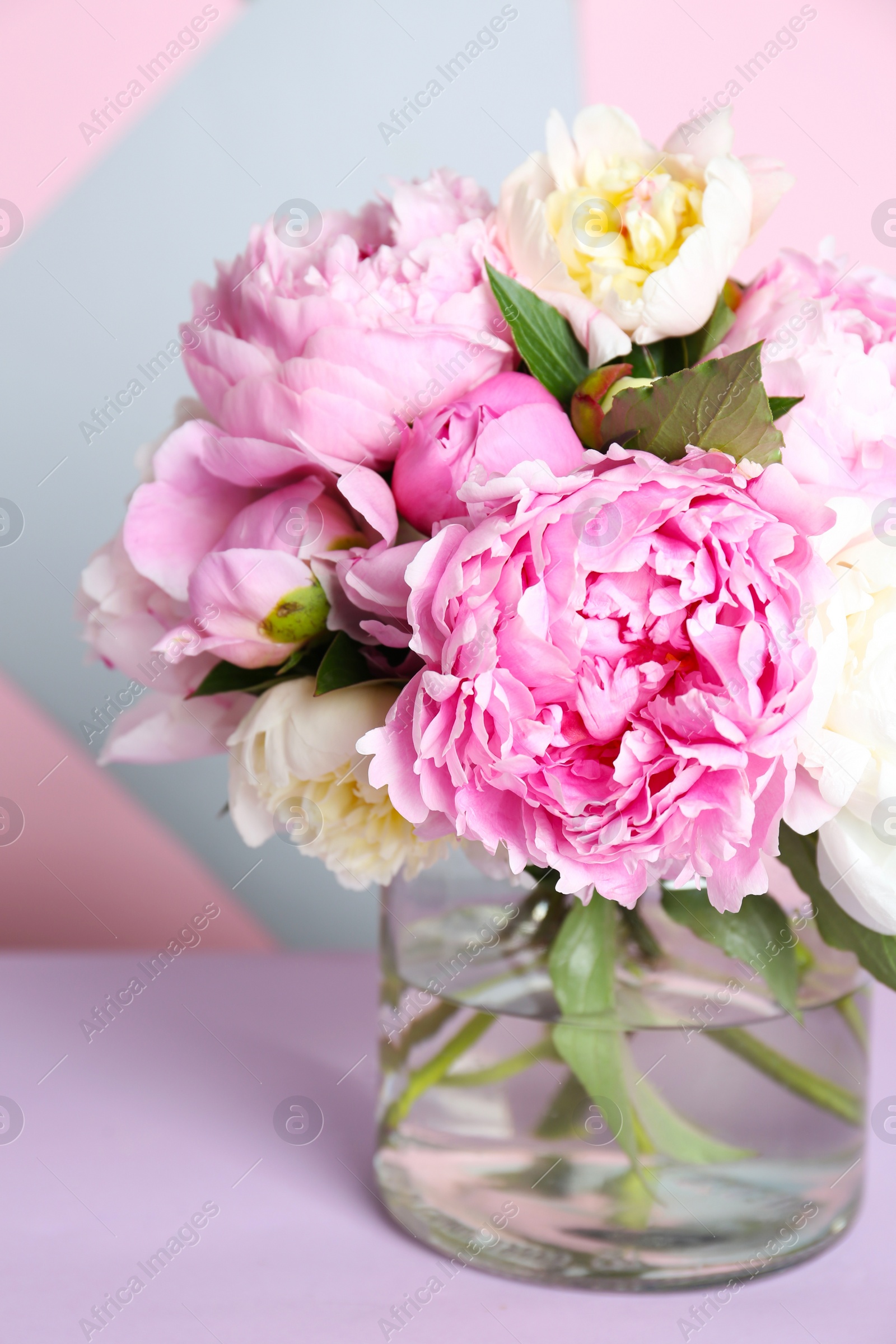 Photo of Bouquet of beautiful peonies in vase on lilac table