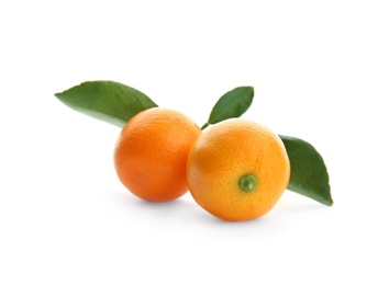 Photo of Branch of ripe tangerines isolated on white. Tasty citrus fruit