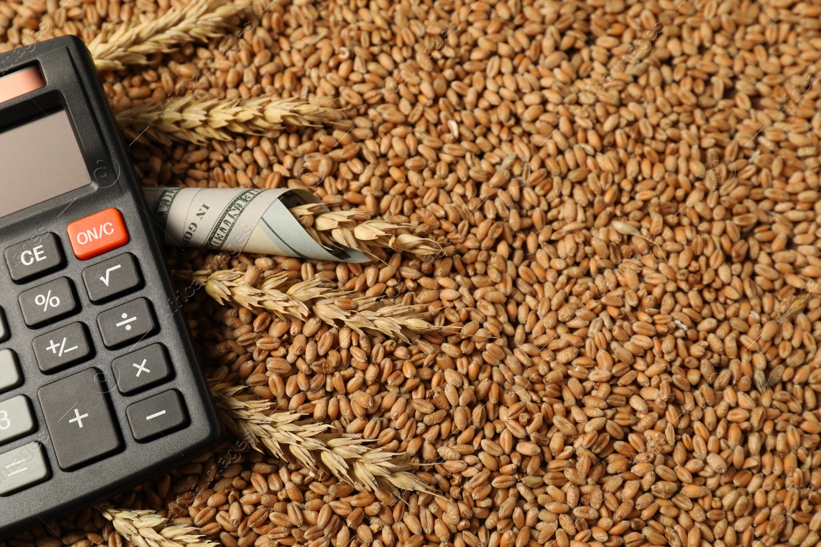 Photo of Calculator, dollar banknote and wheat ears on grains, closeup. Agricultural business