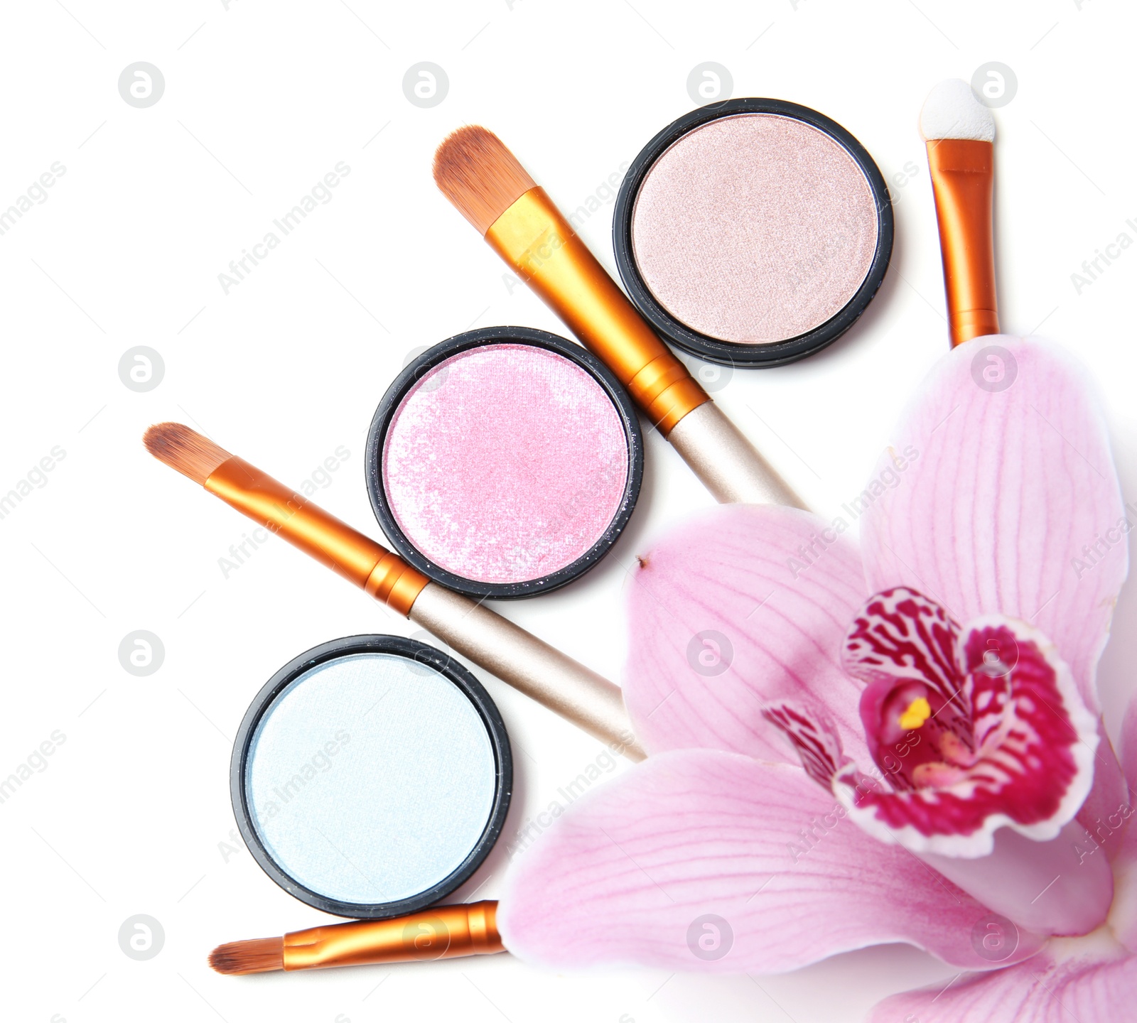 Photo of Makeup brushes with cosmetics and flower on white background