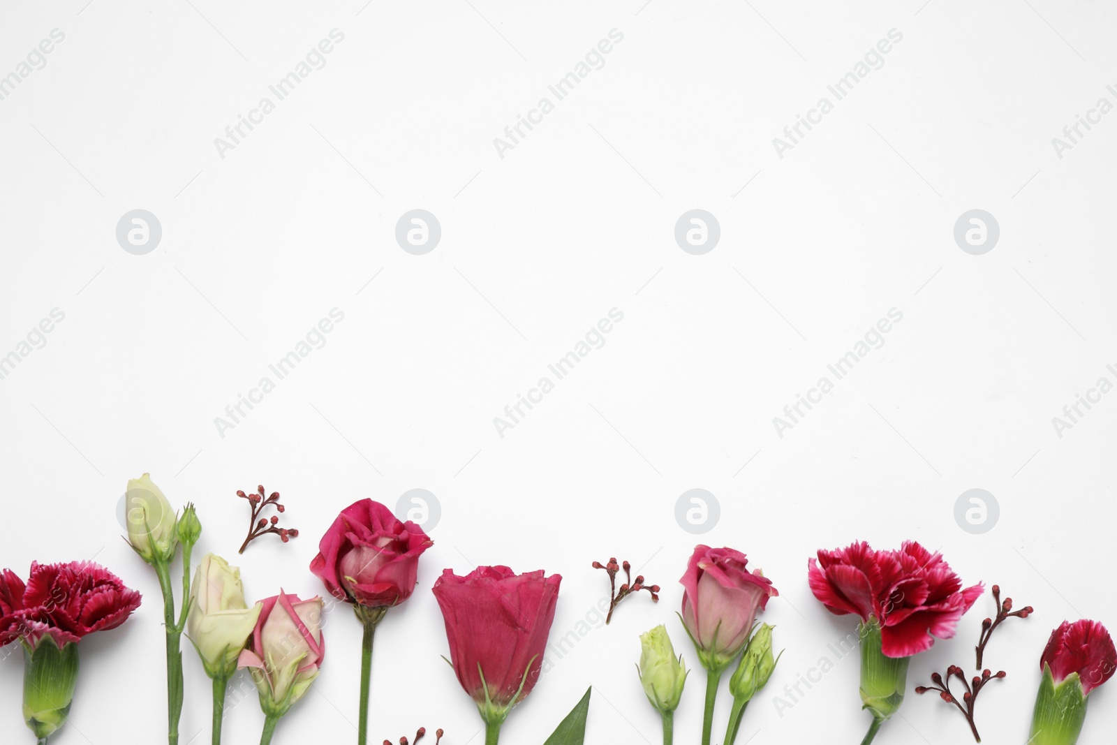 Photo of Beautiful floral composition with flowers on white background, flat lay. Space for text