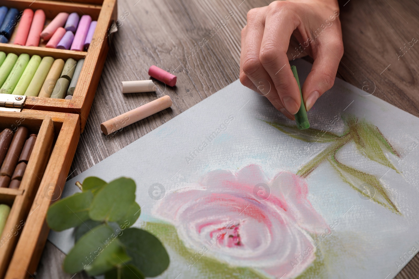 Photo of Woman drawing beautiful pink rose with soft pastel at wooden table, closeup