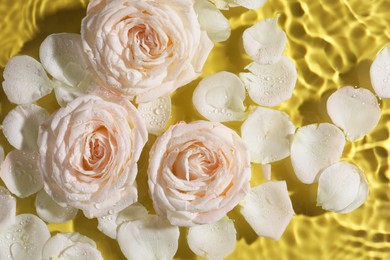 Photo of Beautiful roses and petals in water on pale yellow background, top view