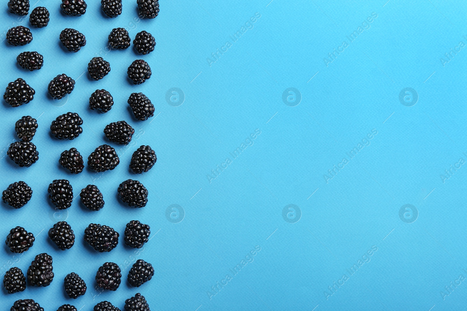 Photo of Fresh ripe blackberries on blue background, flat lay. Space for text