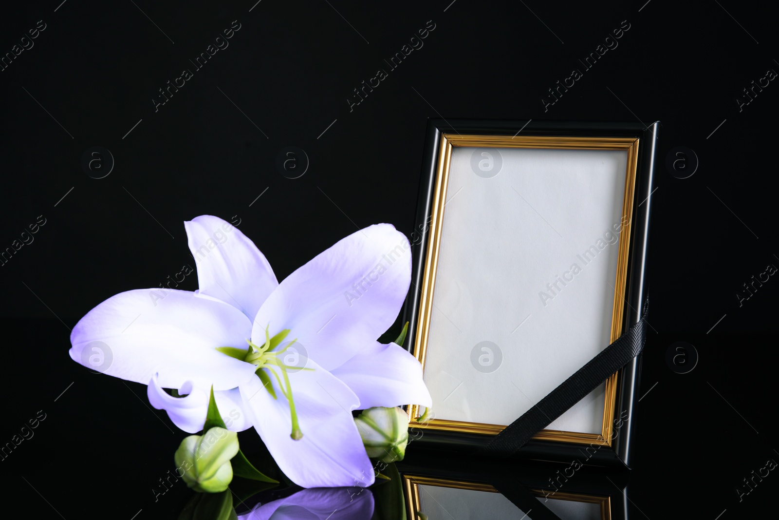 Image of Funeral photo frame with ribbon and violet lily on table against black background