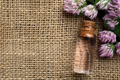 Beautiful clover flowers and bottle of essential oil on sackcloth, flat lay. Space for text