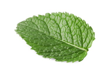 Fresh green mint leaf isolated on white