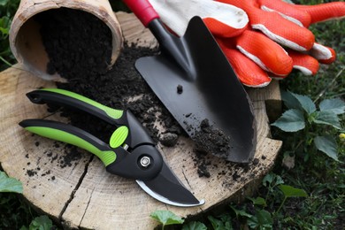 Photo of Secateurs and other gardening tools on wooden stump among green grass