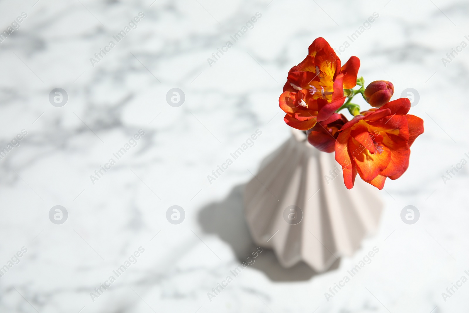 Photo of Spring freesia flowers in vase on marble background, view from above. Space for text