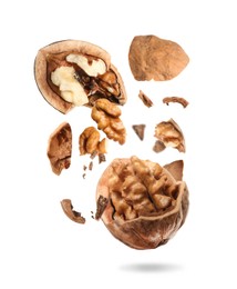 Broken walnut and pieces of shell flying on white background