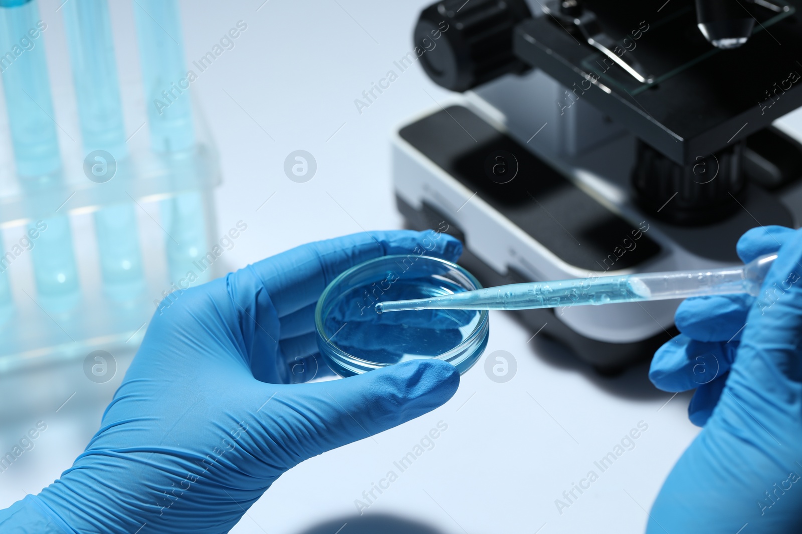 Photo of Scientist dripping liquid from pipette into petri dish at white table, closeup