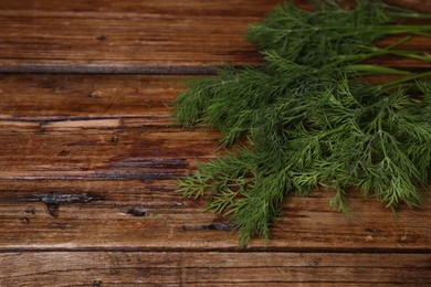 Photo of Sprigs of fresh green dill on wooden table, space for text