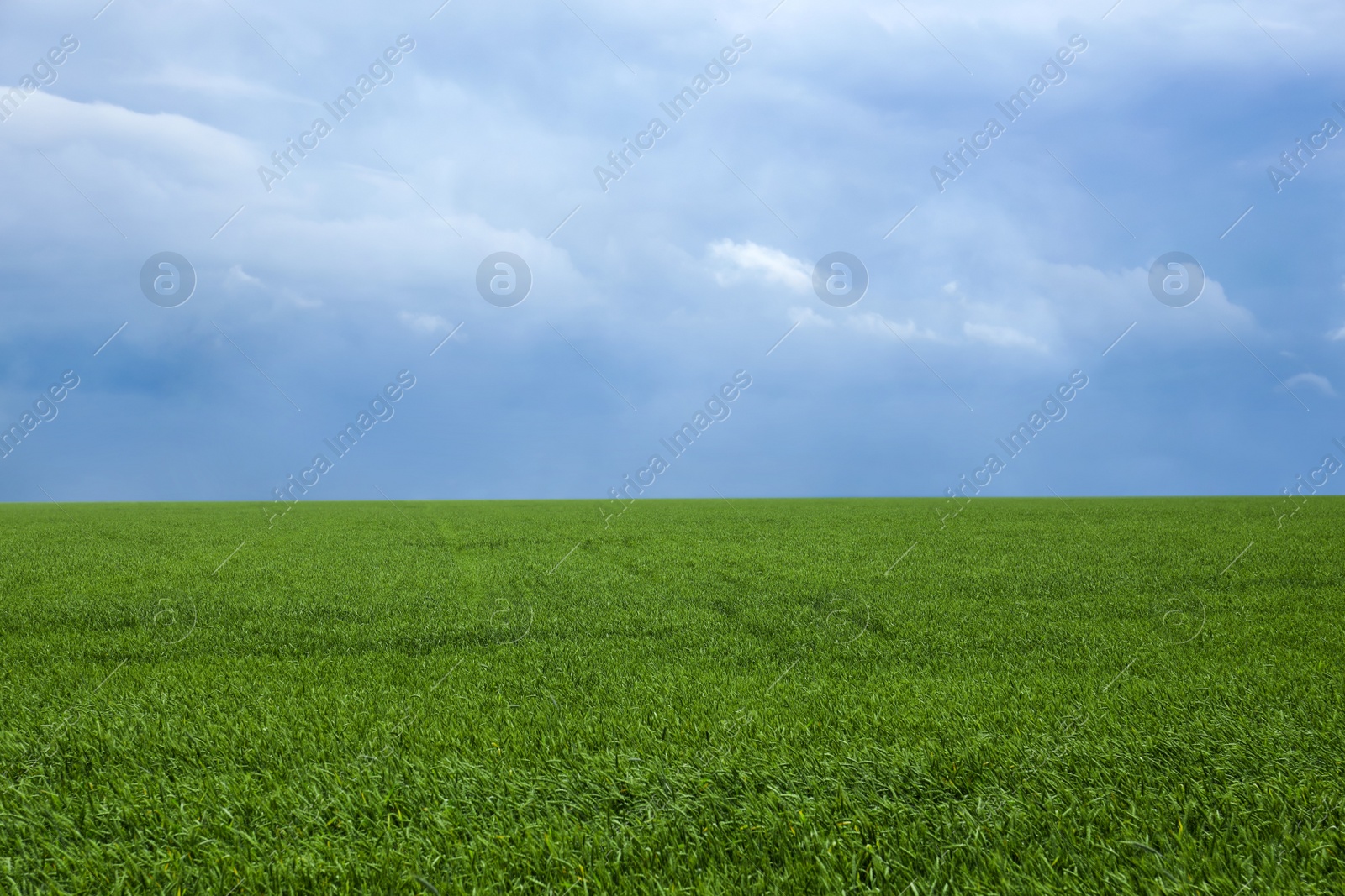 Photo of Beautiful view of green field and sky with clouds