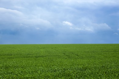 Photo of Beautiful view of green field and sky with clouds