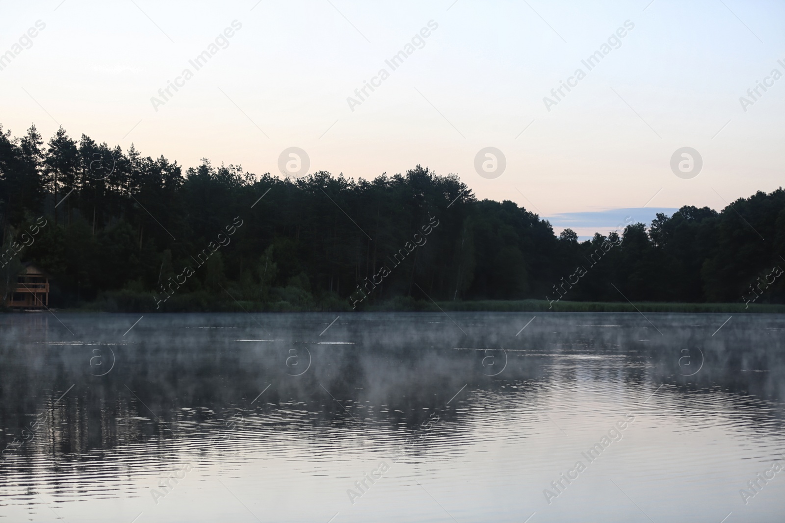 Photo of Beautiful landscape with forest near lake. Camping season