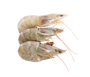 Fresh raw shrimps isolated on white, top view. Healthy seafood