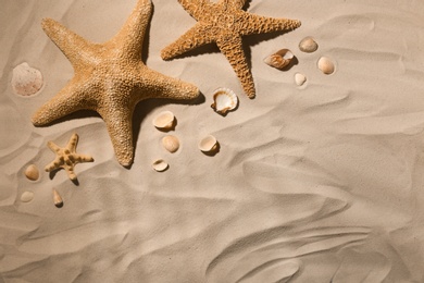Photo of Starfishes and seashells on beach sand, top view. Space for text
