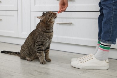 Woman giving red pill to cute cat at home, closeup. Vitamins for animal